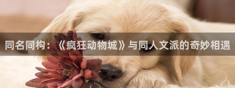 新新漫画官网正版下载